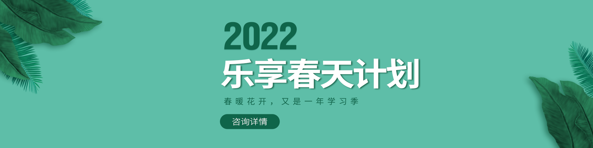 操逼的视频网站免费看